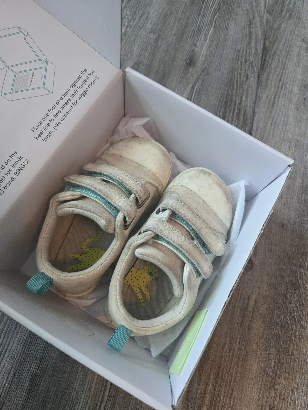 Ten Little Kids Canvas Hook-and-Loop Sneakers in Beige with Teal Accent